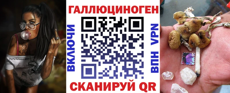 Купить  Коркино  Псилоцибиновые грибы MAGIC MUSHROOMS 